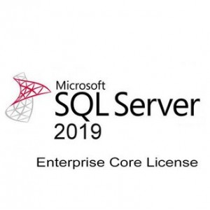 Microsoft SQL Svr Enterprise Core 2019 OLP 2Lic NL Gov